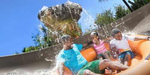 Disney's Blizzard Beach Water Park-Summer Treat