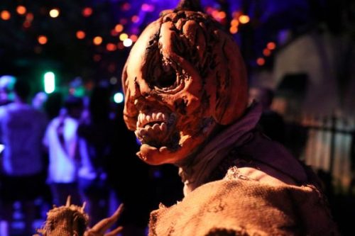 Celebrate Halloween at Orlando’s Theme Parks