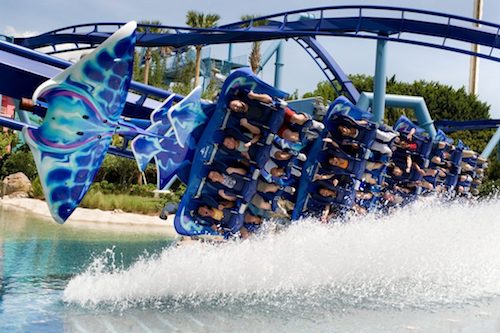 Top 8 Reasons SeaWorld Orlando Rocks!