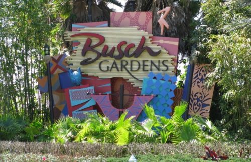 Busch Garden Tampa Bay January 2019