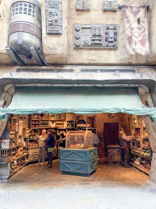 Disney's Hollywood Studios Creature Stall-Black Spire Outpost