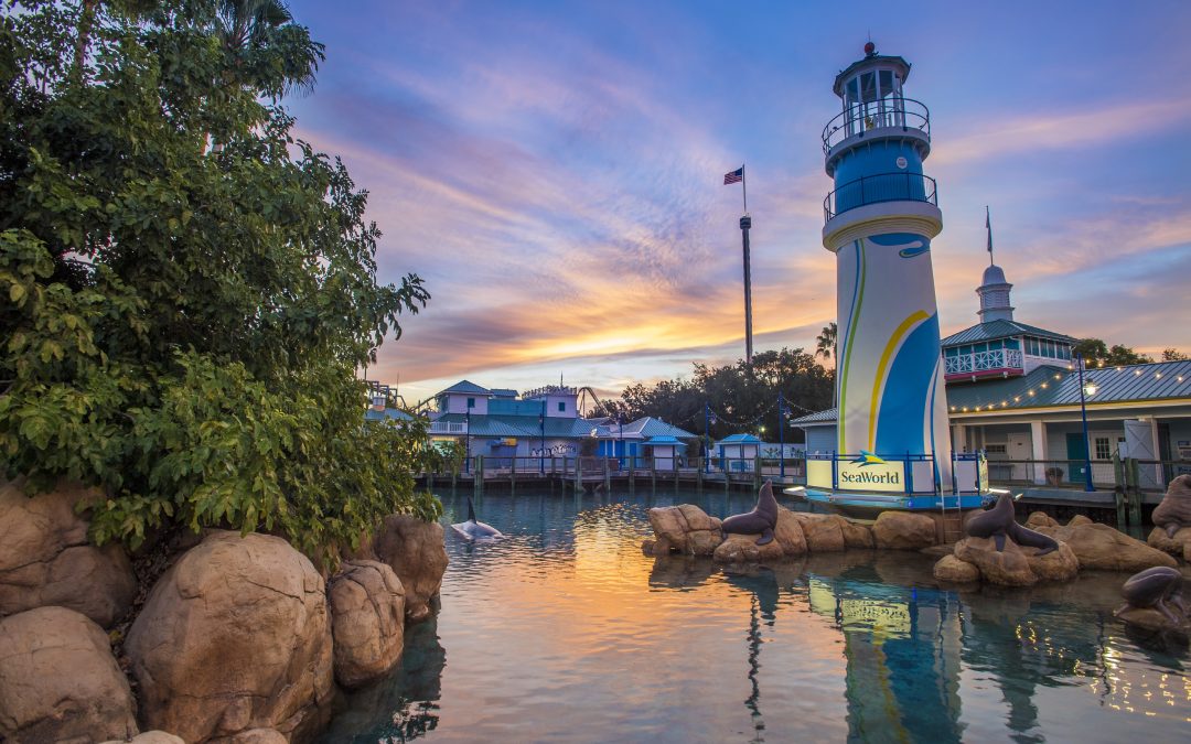 SeaWorld Parks to Reopen on June 11th!