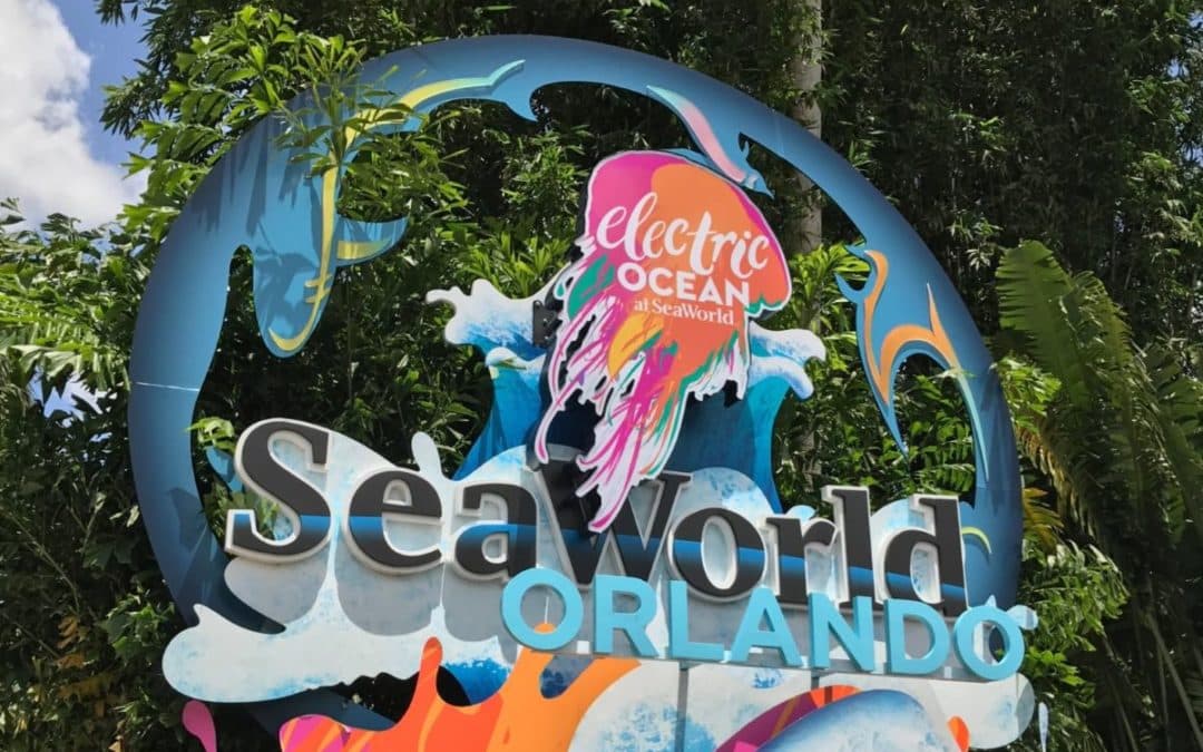 SeaWorld’s Electric Ocean Returns Summer 2022