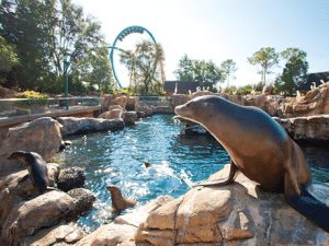 Discount SeaWorld Tickets